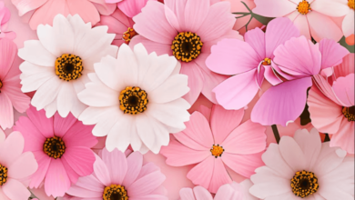 Wallpaper:4xen2c9dx_M= Pink Flowers