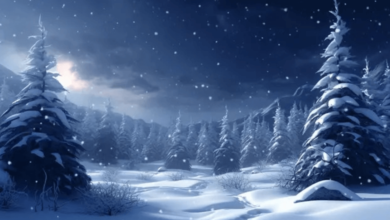 Wallpaper:8z3bfxjzb78= Winter Scene Background