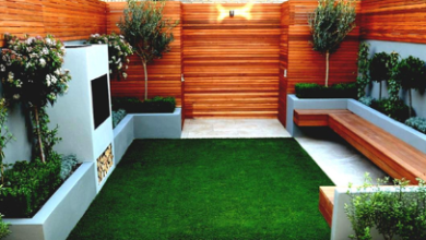 10 Easy Backyard Landscaping Ideas on a Budget