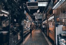 local services exploration guide