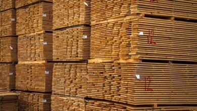 resource allocation and balancing