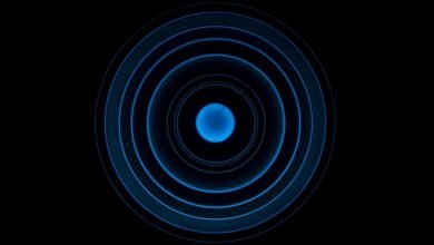 signal flow and dynamics