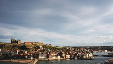 signal flow correlation analysis